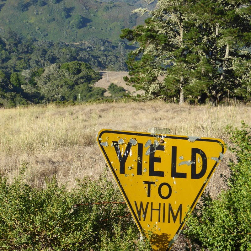 Yield to whim