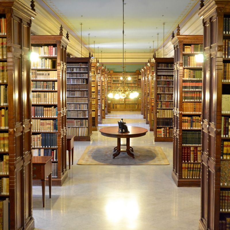 Biblioteca de la real academia espa%c3%b1ola (rae)