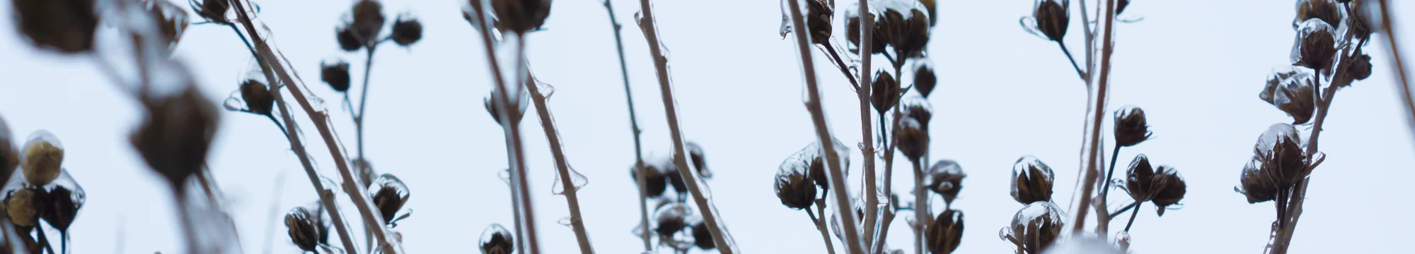 Table of Contents for the first issue 1/2014 of the “Journal of Science, Humanities and Arts – JOSHA”