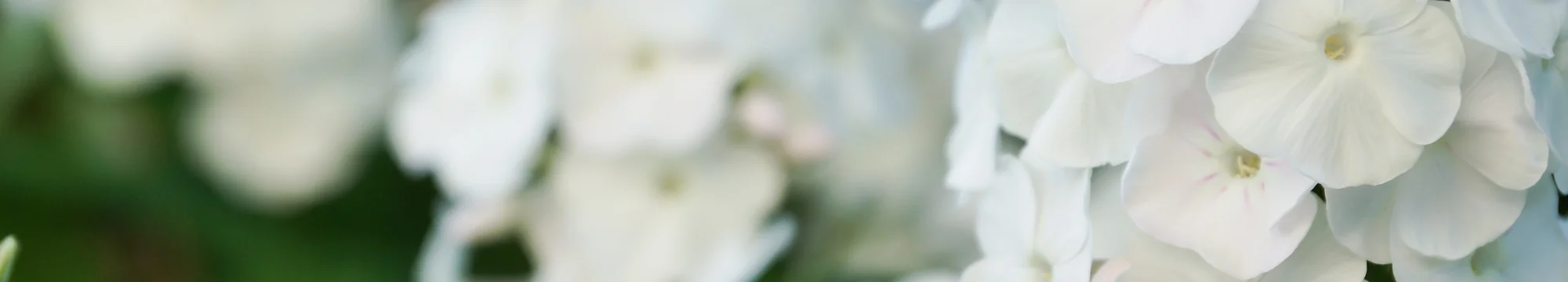 JOSHA – Table of Contents Volume 2 Issue 1