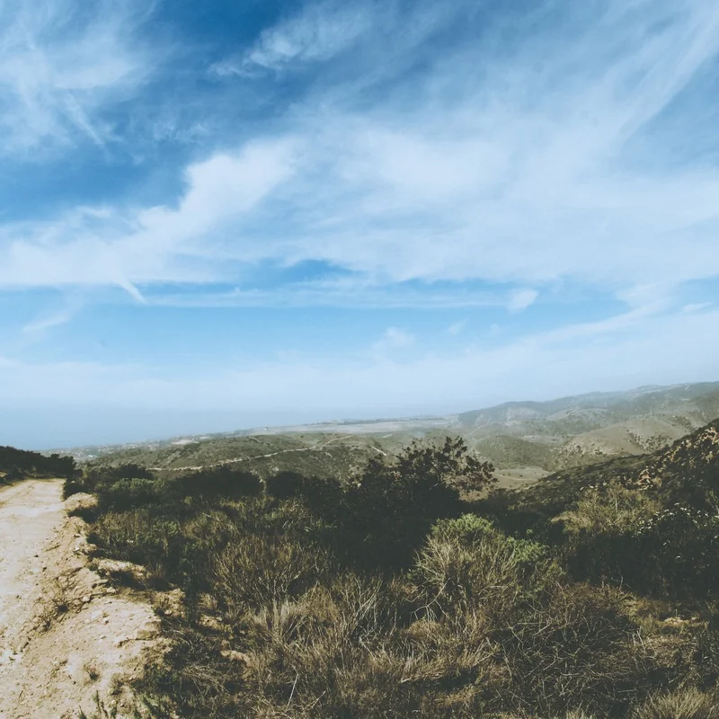 Provinzialrömische Kunst in Gallien und Germanien