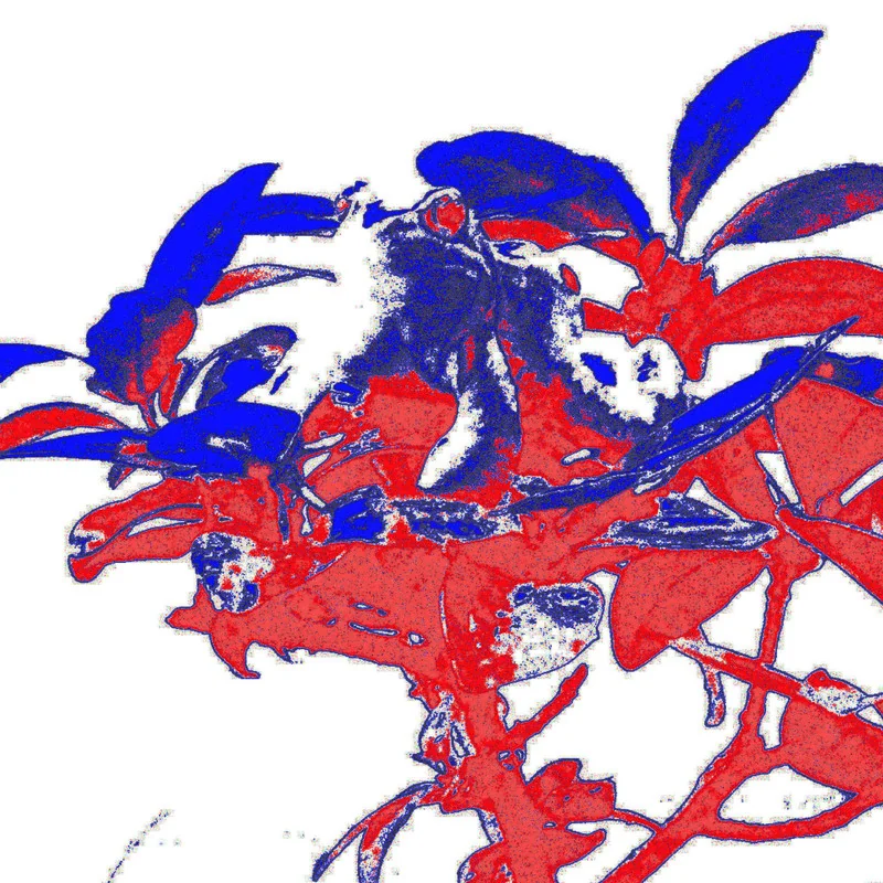 Are we seeing a renaissance of Lamarckism? (Erleben wir eine Renaissance des Lamarckismus?)