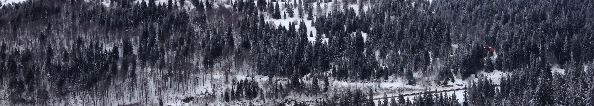 Europa erneuern – Interview mit Markus Kerber