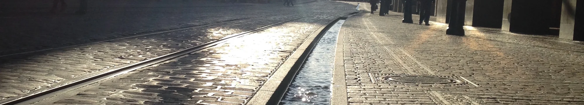 Past, Present and Future of a Successful International Collaboration: An Interview with Prof. Dr. Marta Mollerach