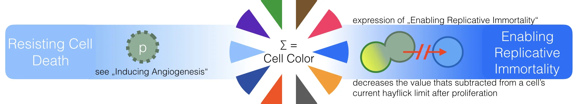 Understanding and Controlling Cancer: The Hallmark Concept Revisited – Chance, Evolution and Entropy