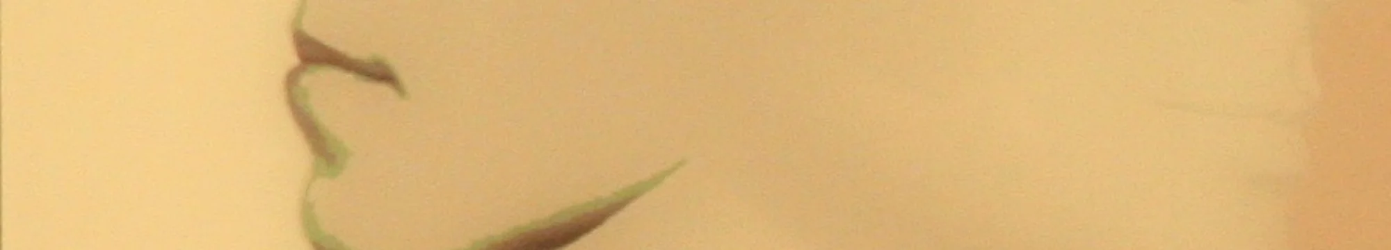 Bioethics and Philosophical Argumentation