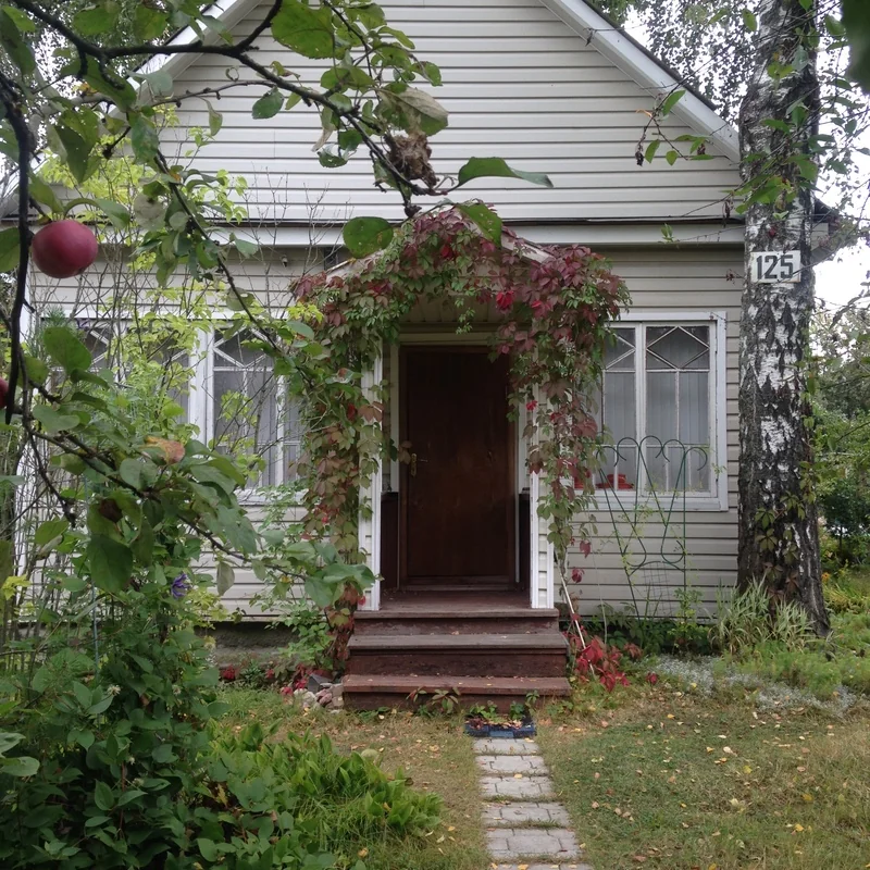 “Missed encounters” by Gottfried Schramm