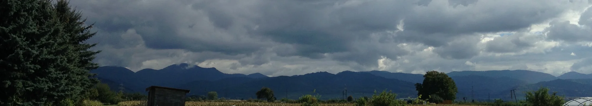 The Growth of Pharmaceutical Business in Borno State, Nigeria, 1976-1999