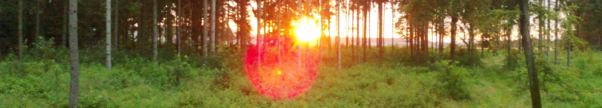 International Academy of Sciences, Humanities and Arts e.V. – Annual Report 2016