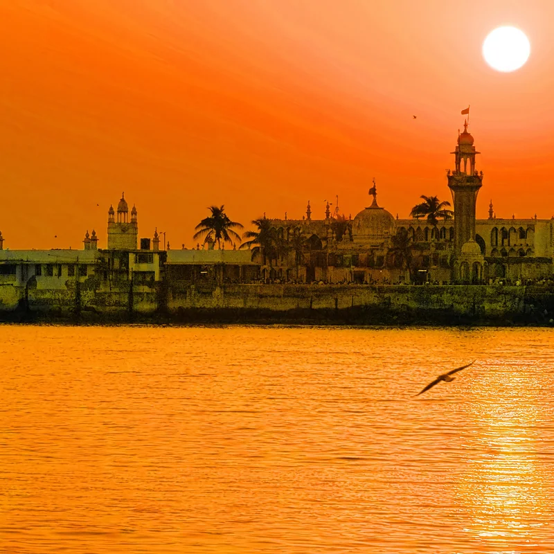 The JOSHA Demetrios Project:- தமிழ் (Tamil)