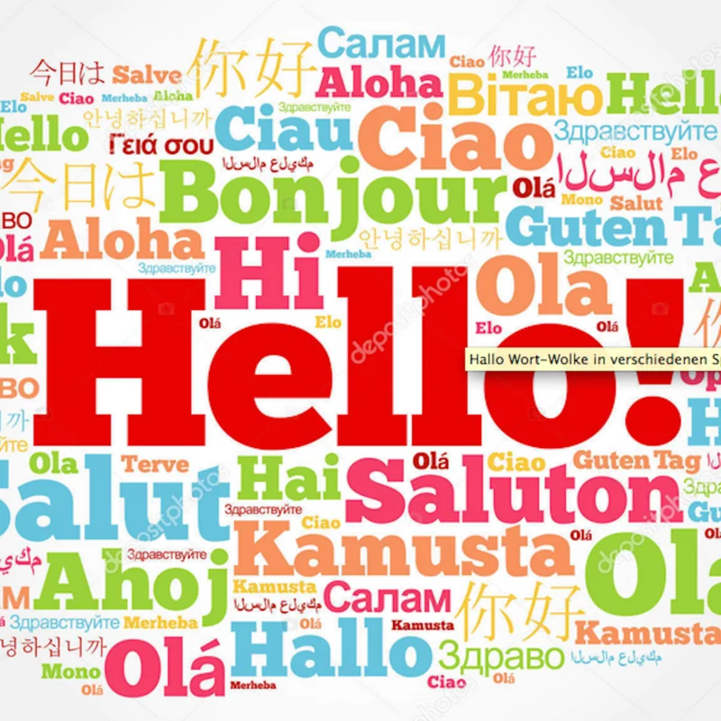 Language Feature and New Sections in JOSHA