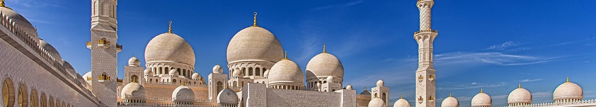 The JOSHA Demetrios Project: – Arabic