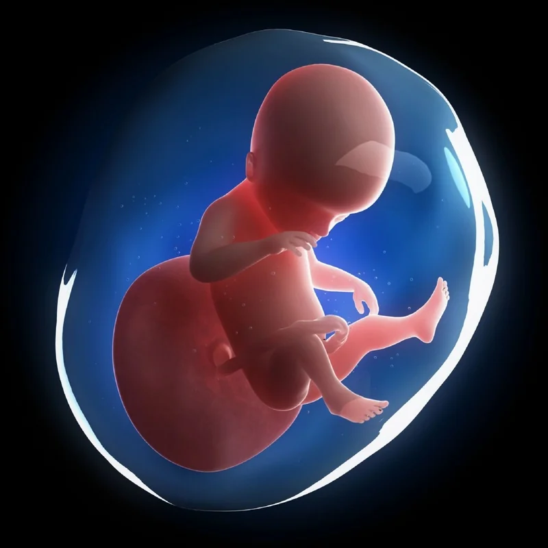 PREVALENCE ALTERATION OF DOPPLER UTERINE ARTERIES BETWEEN WEEK 20 – 24 OF GESTATION IN LOW RISK POPULATION