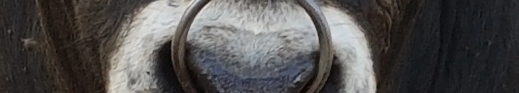 Scientific Europe Turns Into a Fair Mode: Open Access Journals Reducing The Cost of Knowledge