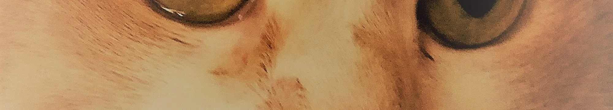 The Evolution of Harmonic Progression Analysis: Ultimate CAT