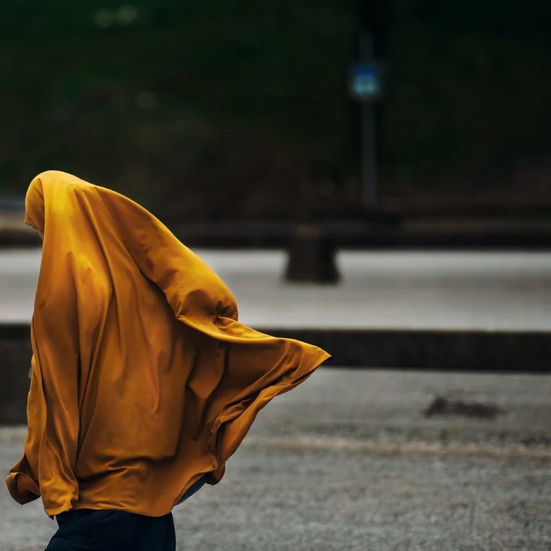 Moving Beyond Home: The Changing Status of Muslim Women in Northern Nigeria.