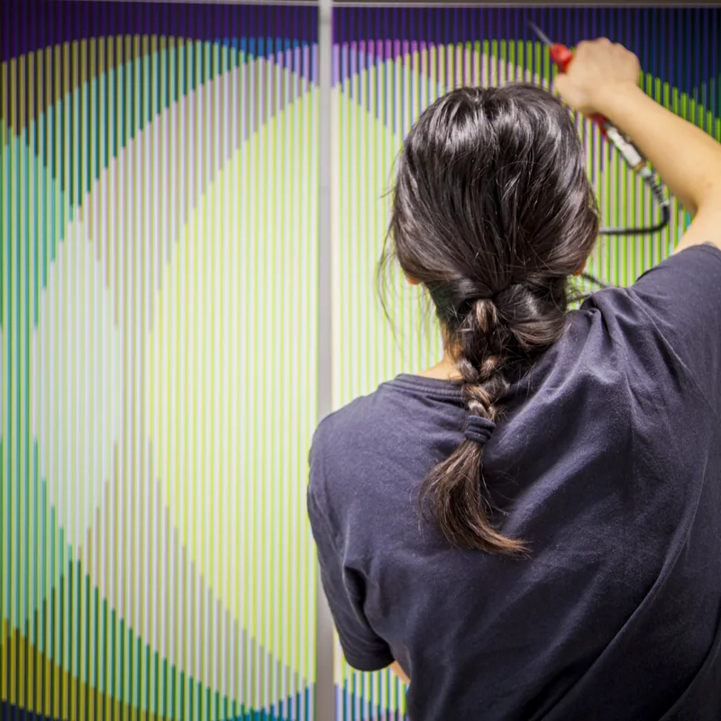 Cruz-Diez: El surgimiento de una familia – Rise of a family.