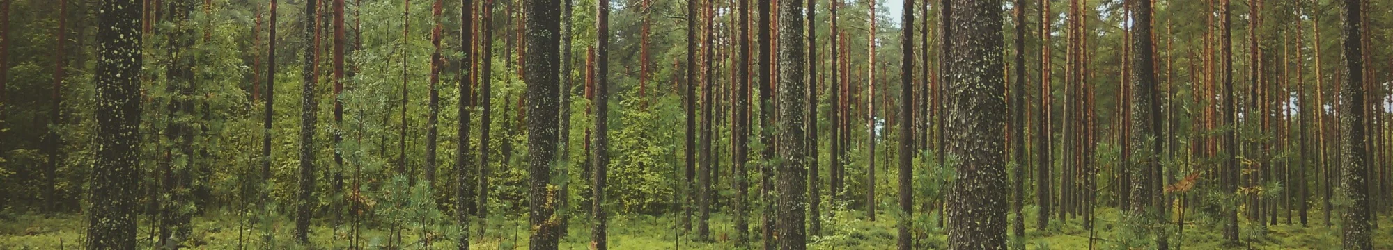 3D printed scaffold to monitor hanging drops on inverted microscopes