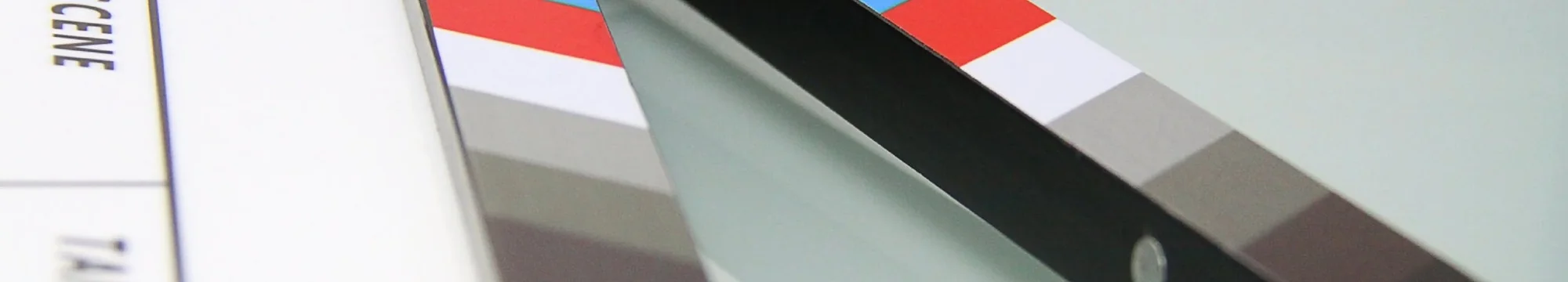 DEMETRIOS PRIZE 2019! Die Darstellung des intergenerationellen Traumas im Film La teta asustada von Claudia Llosa – The Representation of Intergenerational Trauma in the Film La teta asustada by Claudia Llosa