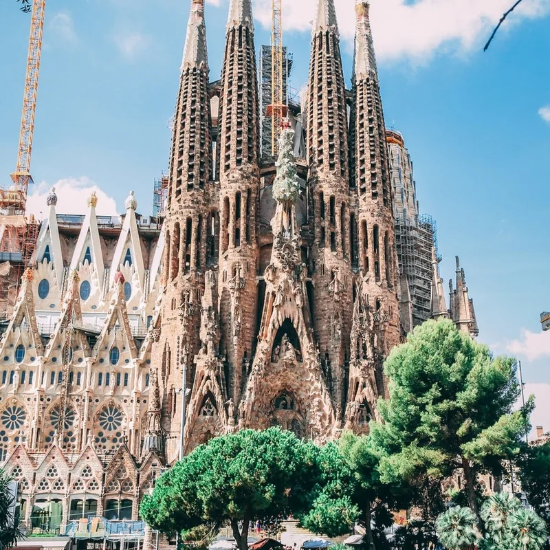 Alpha and Omega: from the Sagrada Familia to Placenta and Cancer