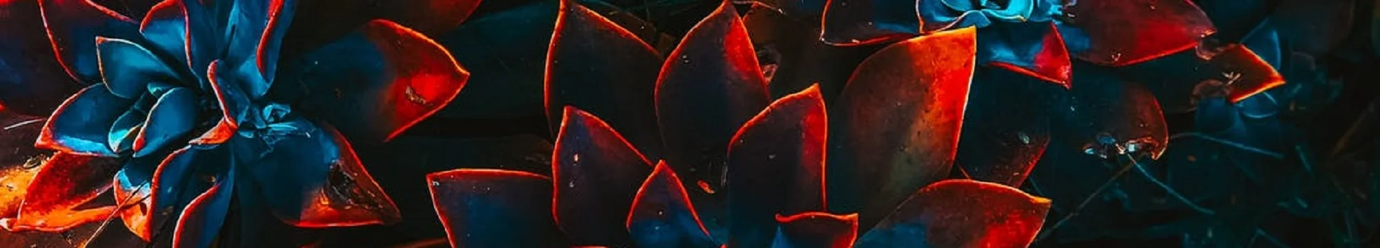 Mapmaking and Storytelling