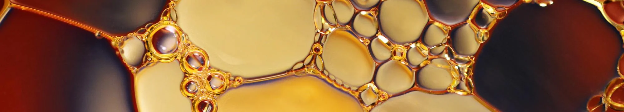 Why the biomedical Sciences need Philosophy: theoretical and practical Reasons illustrated with examples from the BioThera Institute of Philosophy