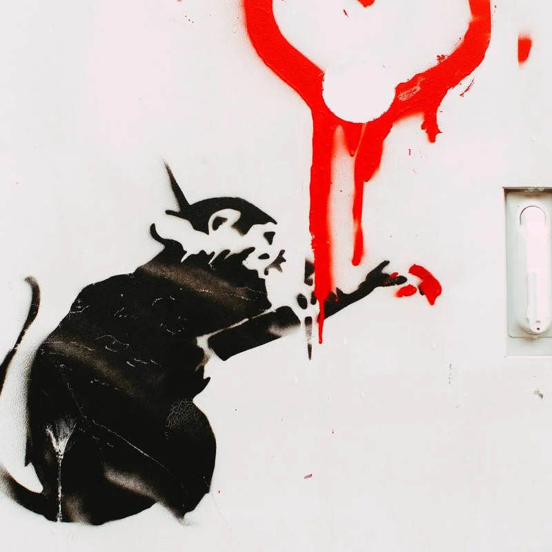 Auf einmal Laborratte – Suddenly a laboratory Rat