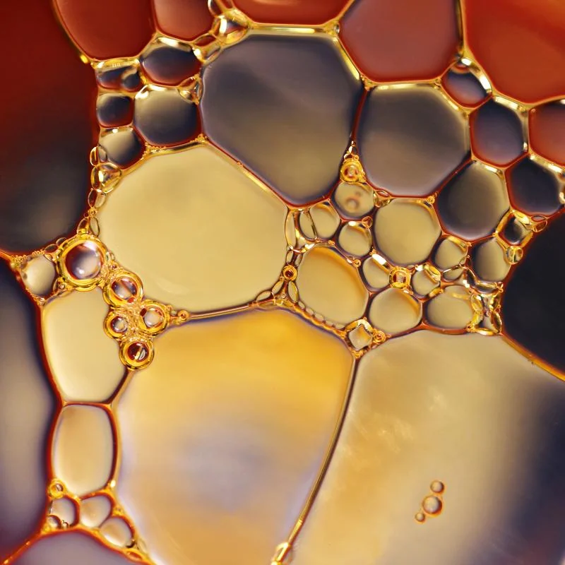 Why the biomedical Sciences need Philosophy: theoretical and practical Reasons illustrated with examples from the BioThera Institute of Philosophy