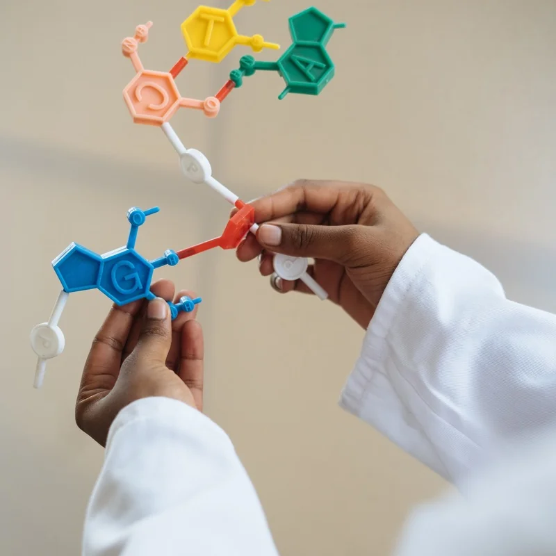 Artificial Intelligence and mathematical Models in Research and applied Oncology and Hematology