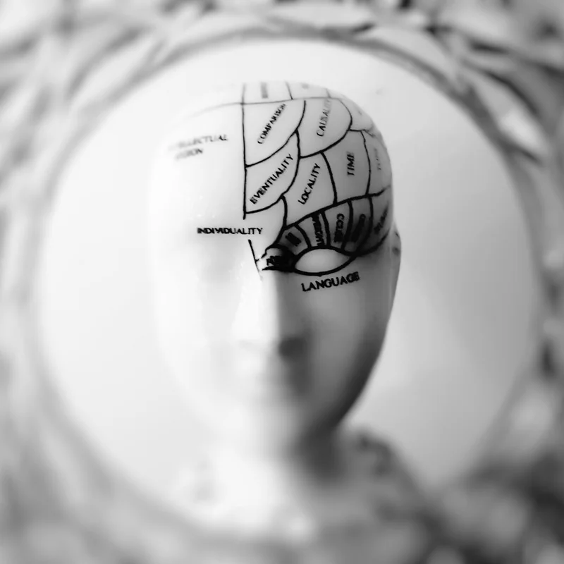 Señales Biológicas Cerebrales y Cognición – Biological Brain Signals and Cognition