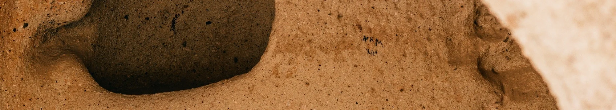 The Last Leap of Vere Gordon Childe: His Final Days