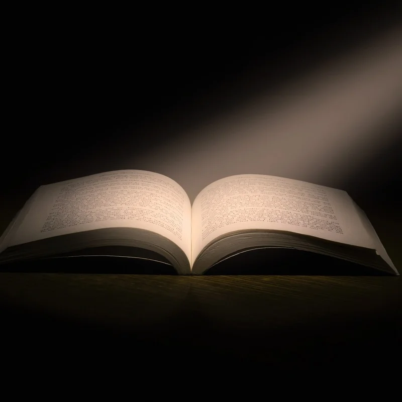 The First Century of Ulysses