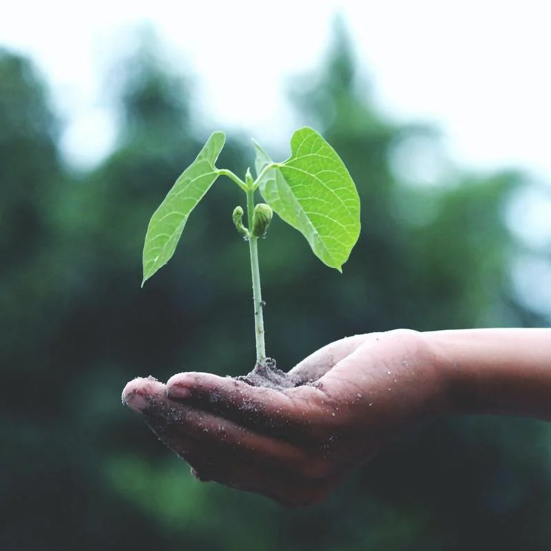 The Climate Precariat: How Climate Change Exacerbates Marginalization through Labor Displacement of the Agricultural Sector