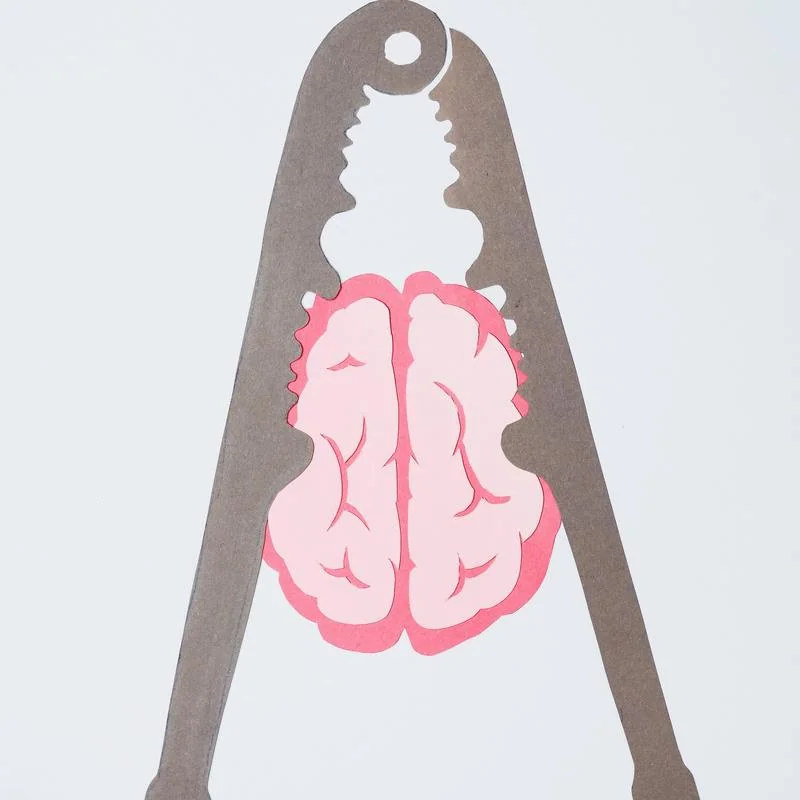 How the Environment Affects the Adolescent Brain