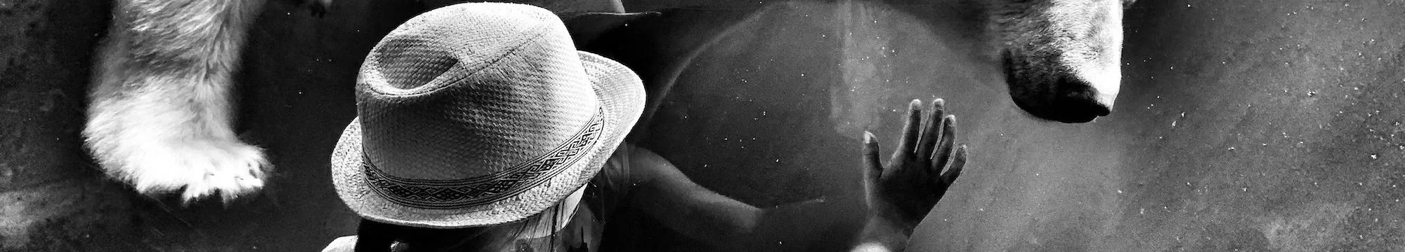 Short Communication: The Importance of Modern Zoos and Animal Sanctuaries in Promoting Wildlife Conservation and Education