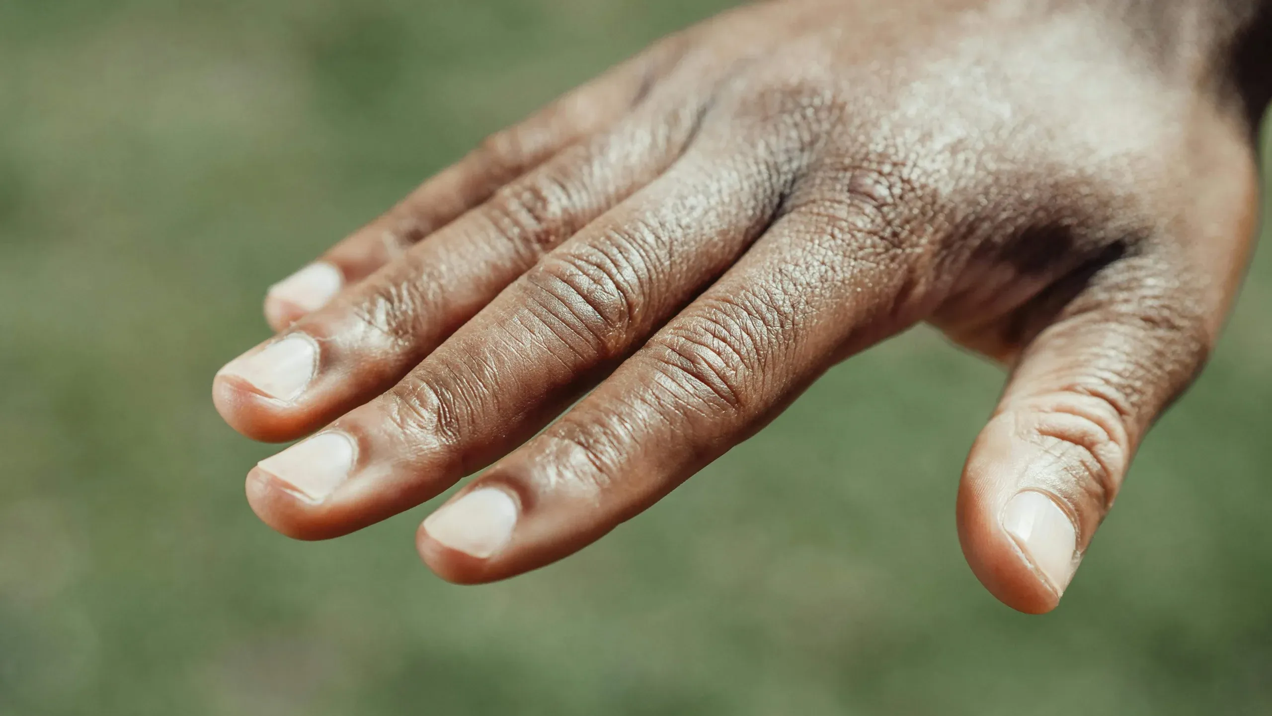 “Until grey hair appears on the hands and feet”- On the Significance of Human Body Parts in African Idiom, Using the Example of the Idioms of the Fon from Benin