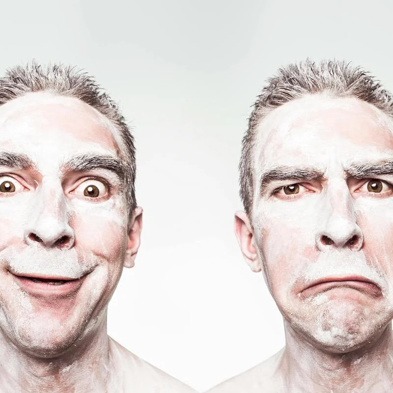Emotional Phenomena in the Interpretative Context of the Causal Mode of Selection by Consequences