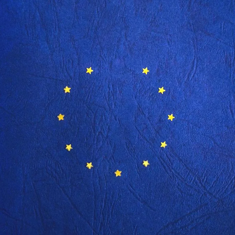 EU Blue Book Traineeship Report