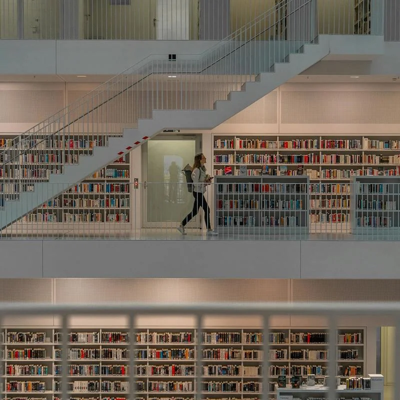 Berufliche Identität von Studierenden als eines der Schlüsselprobleme der modernen Psychologie – Professional Identity of Students as one of the Key Problems of Modern Psychology