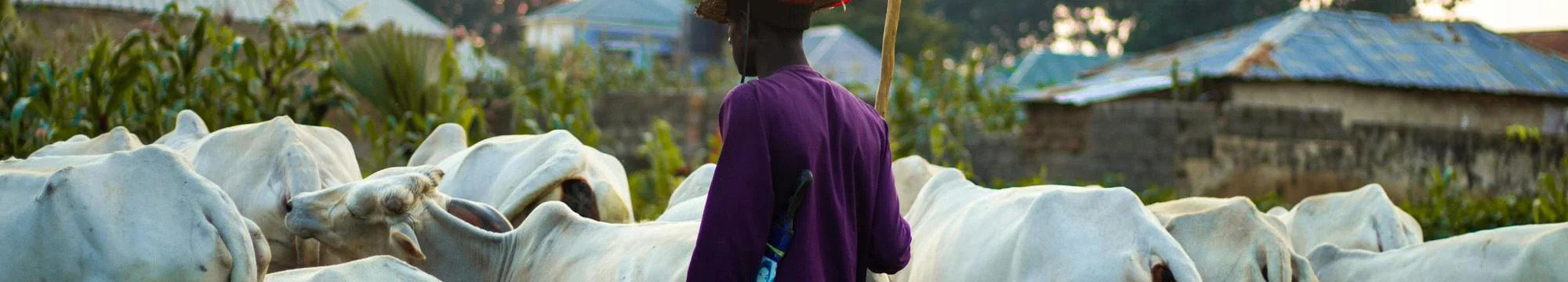 Beyond the Rhetoric of Farmer-Herder Conflict in Northcentral Nigeria: Issues, Challenges and Prospects