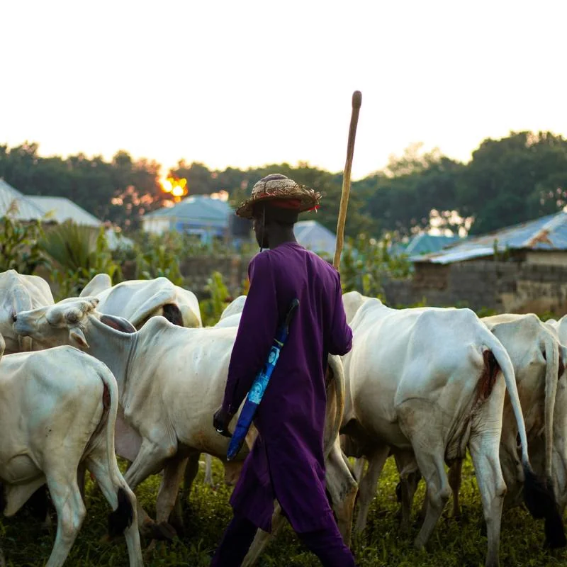 Beyond the Rhetoric of Farmer-Herder Conflict in Northcentral Nigeria: Issues, Challenges and Prospects