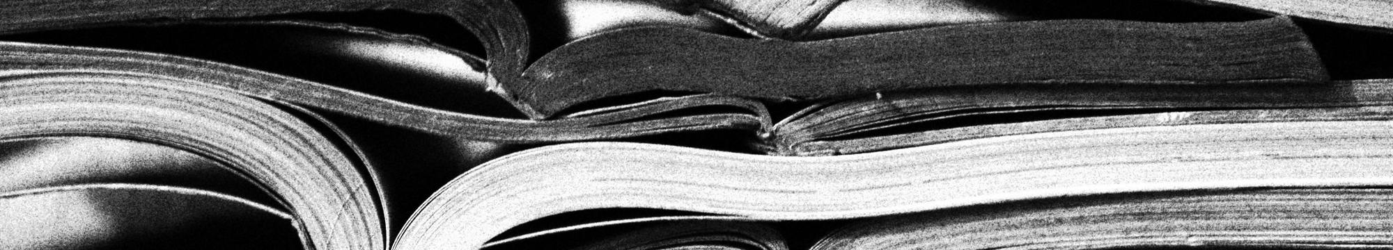 Editorial Volume 13, Issue 2