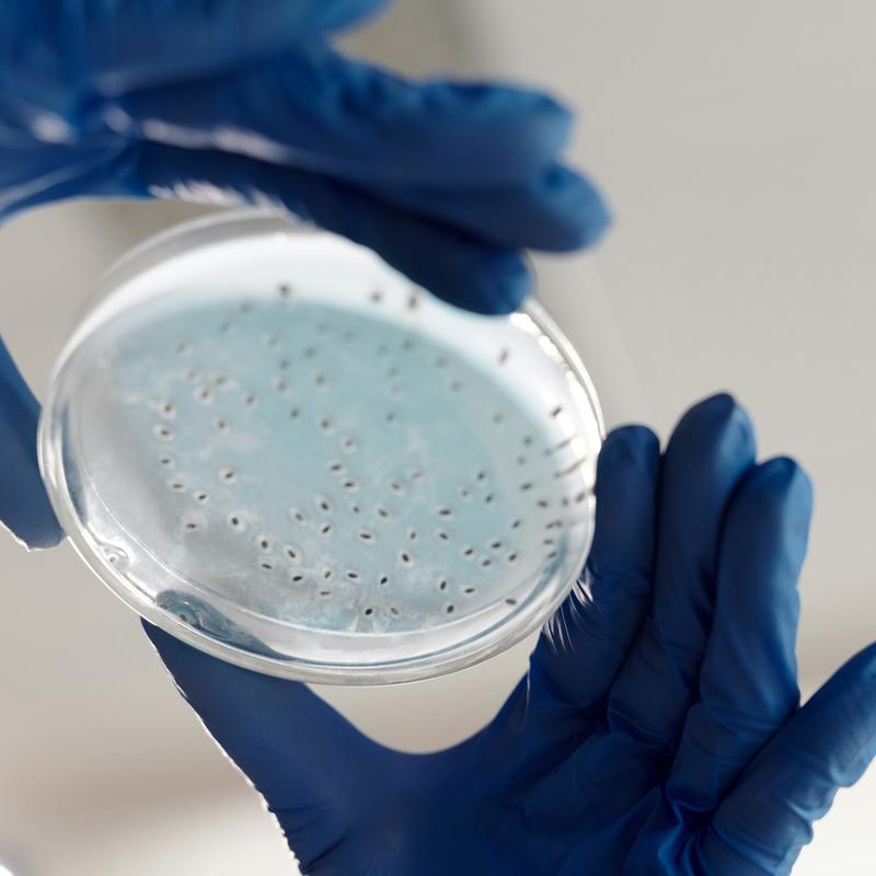 Spotlight on Microbial & Cellular Frontiers
