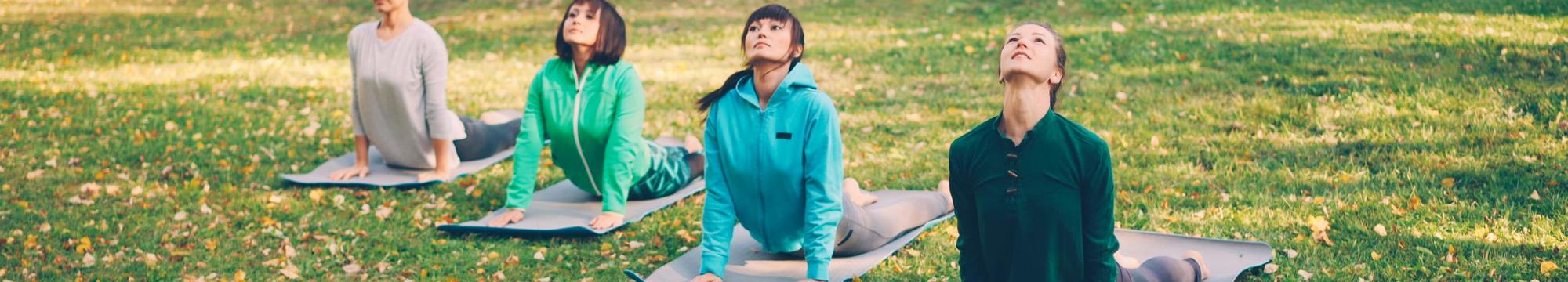 Spotlight on Health & Diet: Corporatization, Food, and Wellness