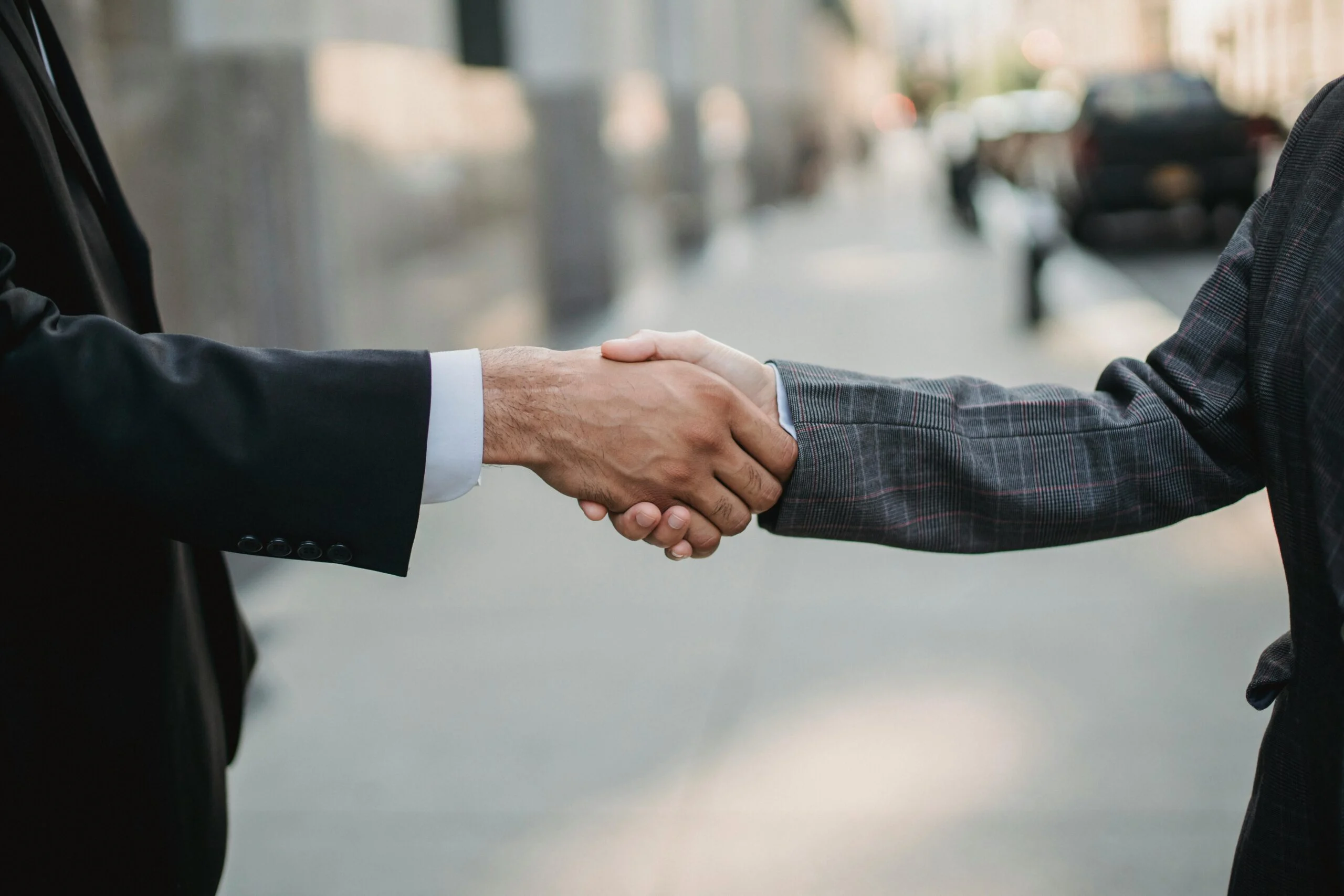 Spotlight on Democratic Erosion and Political Estrangement